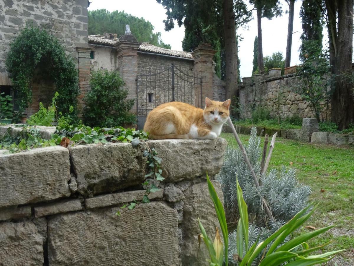 Appartamenti Lais In Sipicciano Luaran gambar