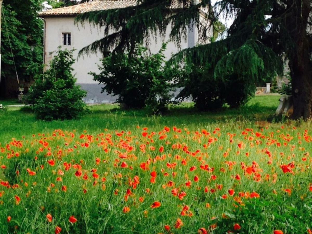 Appartamenti Lais In Sipicciano Luaran gambar